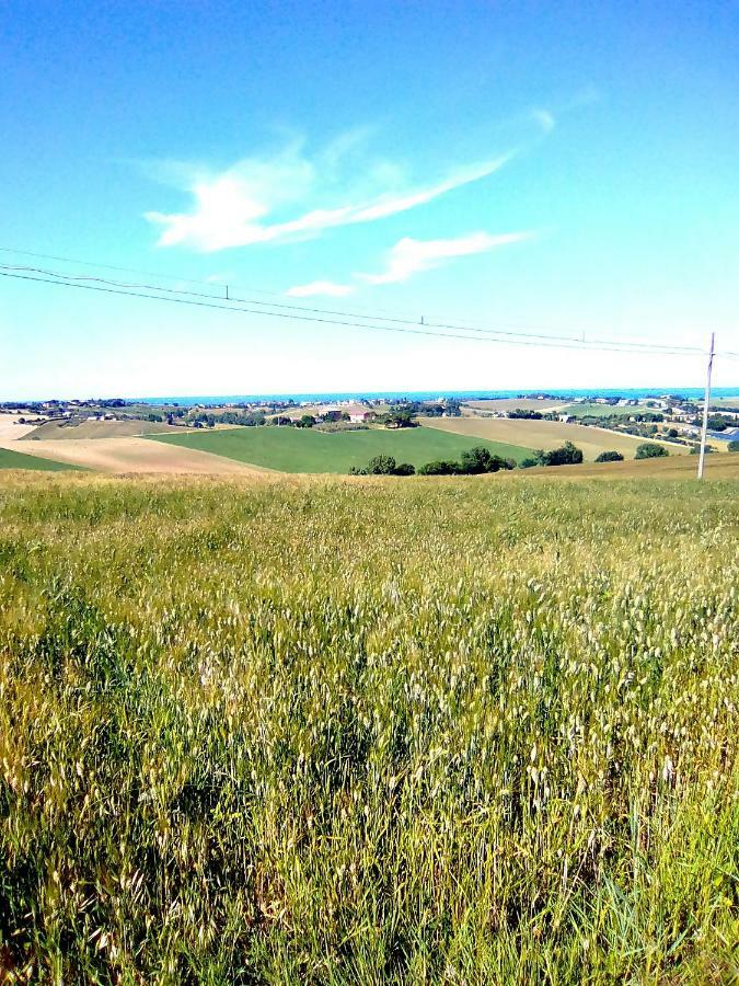 A Casa Di Sara Bed & Breakfast Senigallia Exterior photo