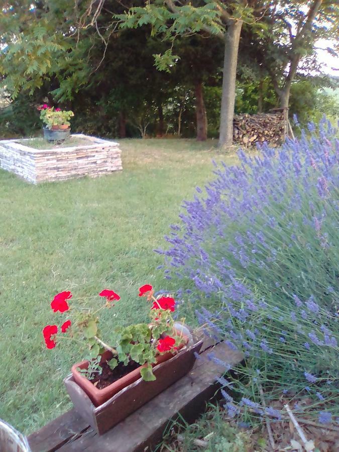A Casa Di Sara Bed & Breakfast Senigallia Exterior photo